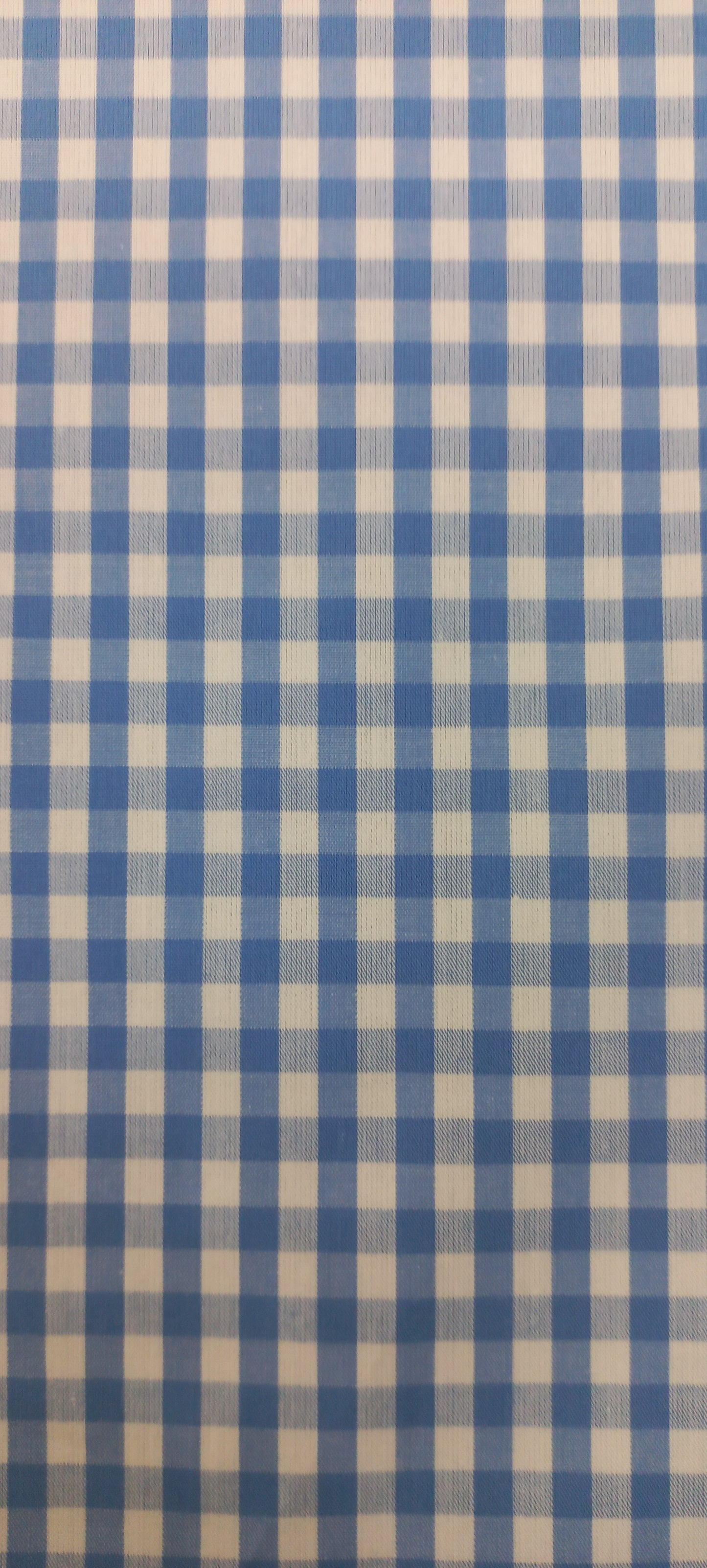Blue Yarn Dyed Checks Cotton Unstitched Men's Shirt Piece (Width 58 Inch | 1.60 Meters)