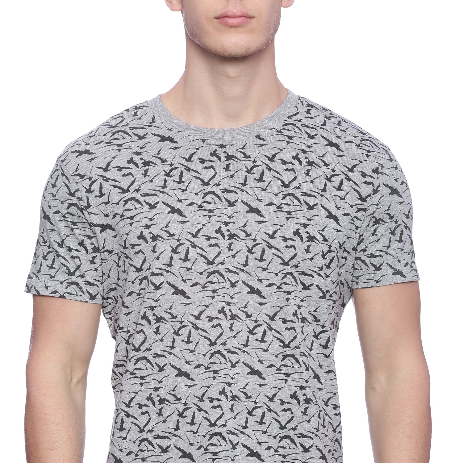 Wolfpack Men Medium Grey Melange Printed T-Shirt Wolfpack