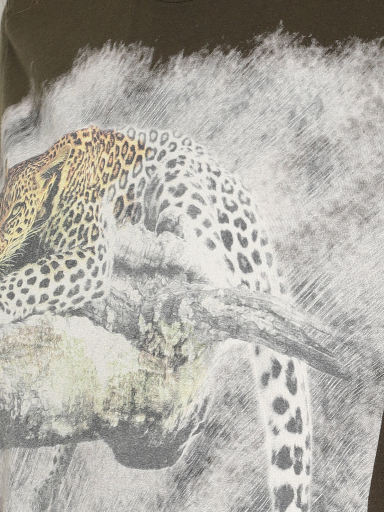 Wolfpack Women Olive Green Printed T-Shirt Wolfpack