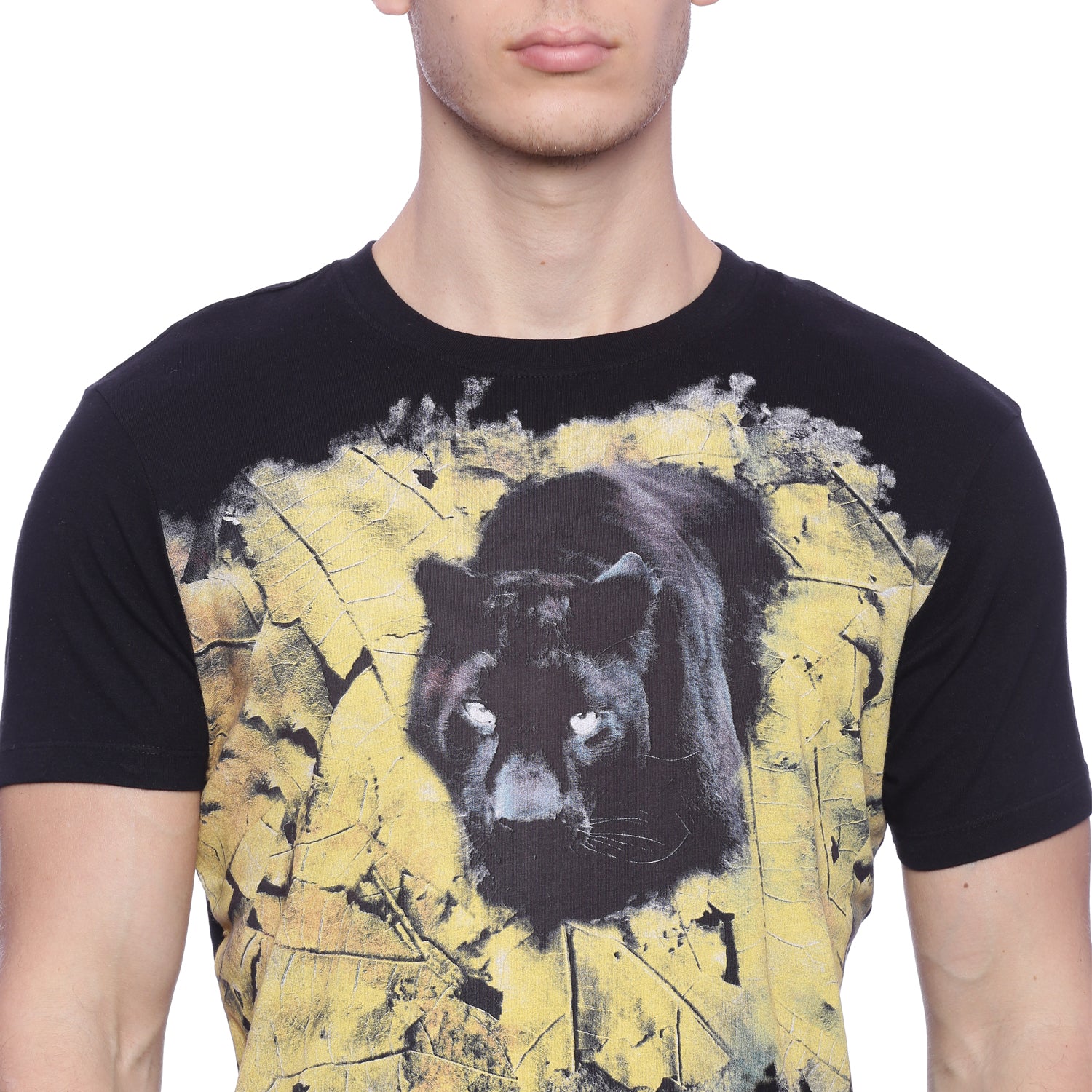 Wolfpack Men Black Round Neck Printed T-Shirt Wolfpack